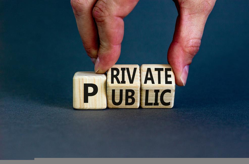 Private vs. Public Companies