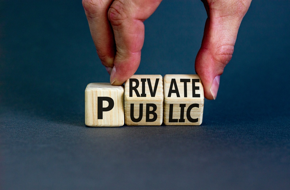 Private vs. Public Companies